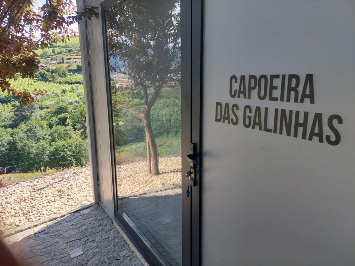 Villa Quinta São José - Museu do Triciclo Mesão Frio Exterior foto